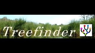 Tree finder for phylogenetic trees