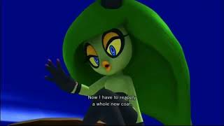 Sonic roasts Zeena