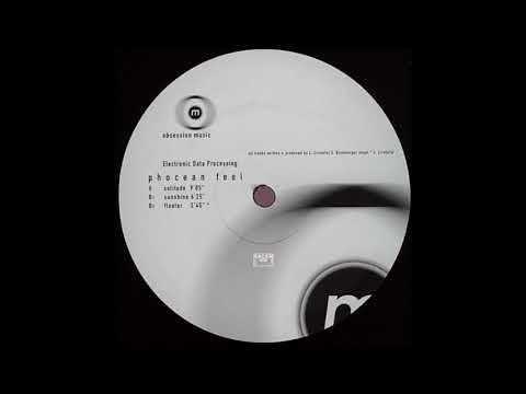 Electronic Data Processing ‎- Sunshine