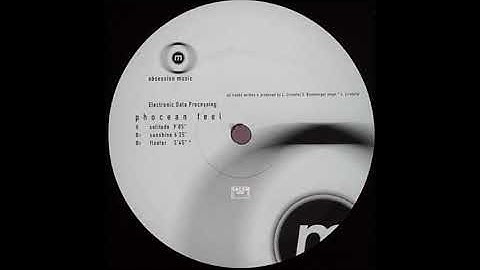 Electronic Data Processing ‎- Sunshine