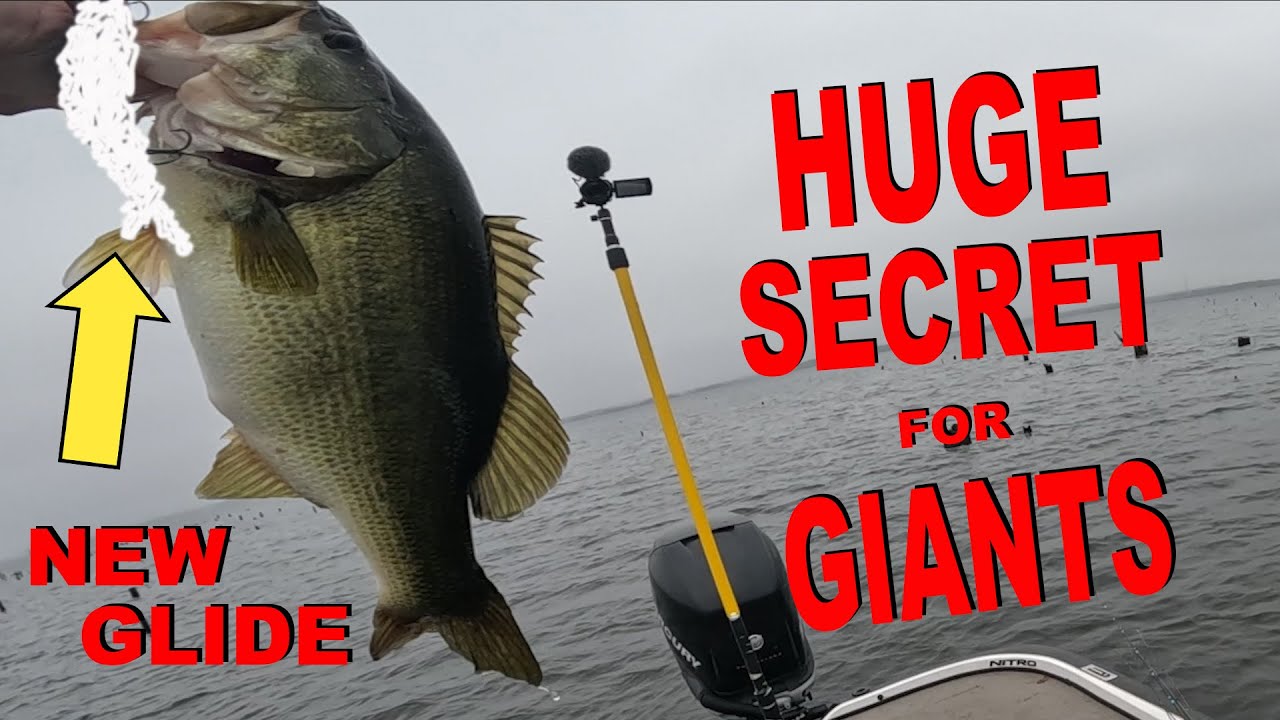 new-secret-glide-bait-and-my-best-glide-bait-retrieve-secret-ever