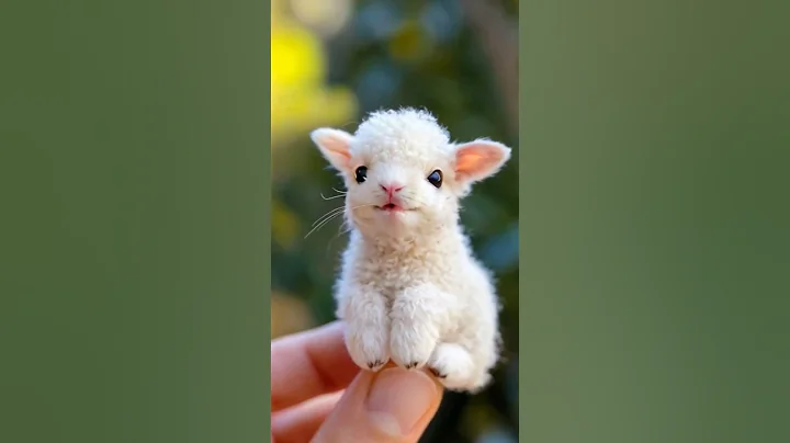 Cute Baby Animal Sounds #cute #animal #babyanimals #adorable #funnysounds thumbnail