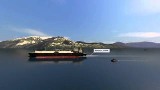 Safe Shipping Animation