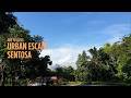 Ode to Cities: Urban Escape, Sentosa