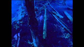 WOLF LAKE Unaired Pilot Clip 1