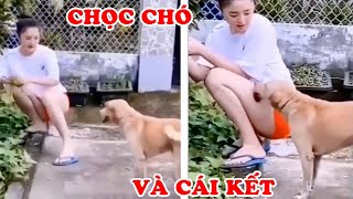 Đam Mê Chọc Chó và 25 Cái Kết Bá Đạo Nhất Của Thanh Niên Chơi Trò Mạo Hiểm