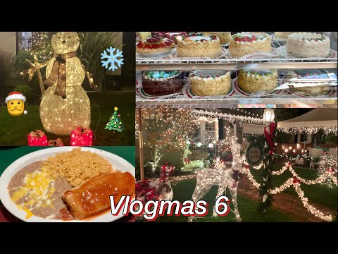 Christmas lights, Stats final exam, friends, etc. (Vlogmas ep. 6)