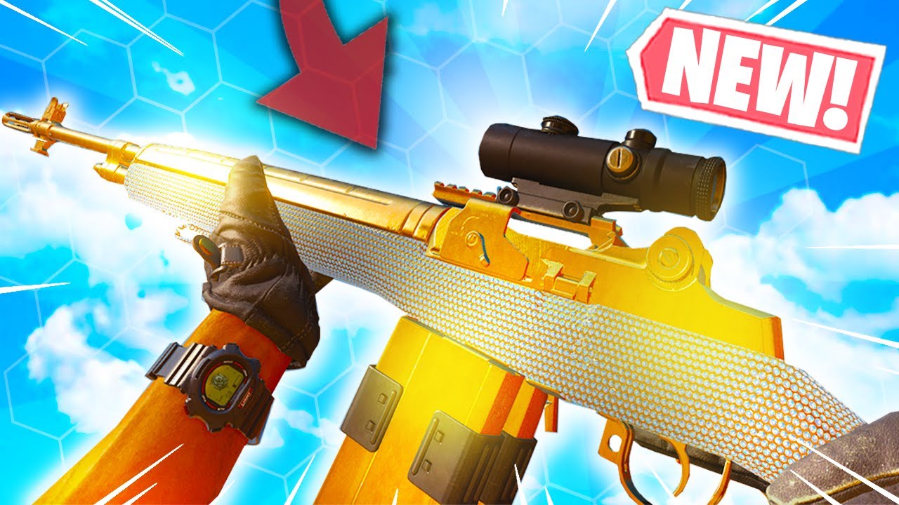 the "BEST GUN" in BLACK OPS COLD WAR! (DMR 14 BEST CLASS SETUP) - Black Ops Cold War DMR 14 Setup!