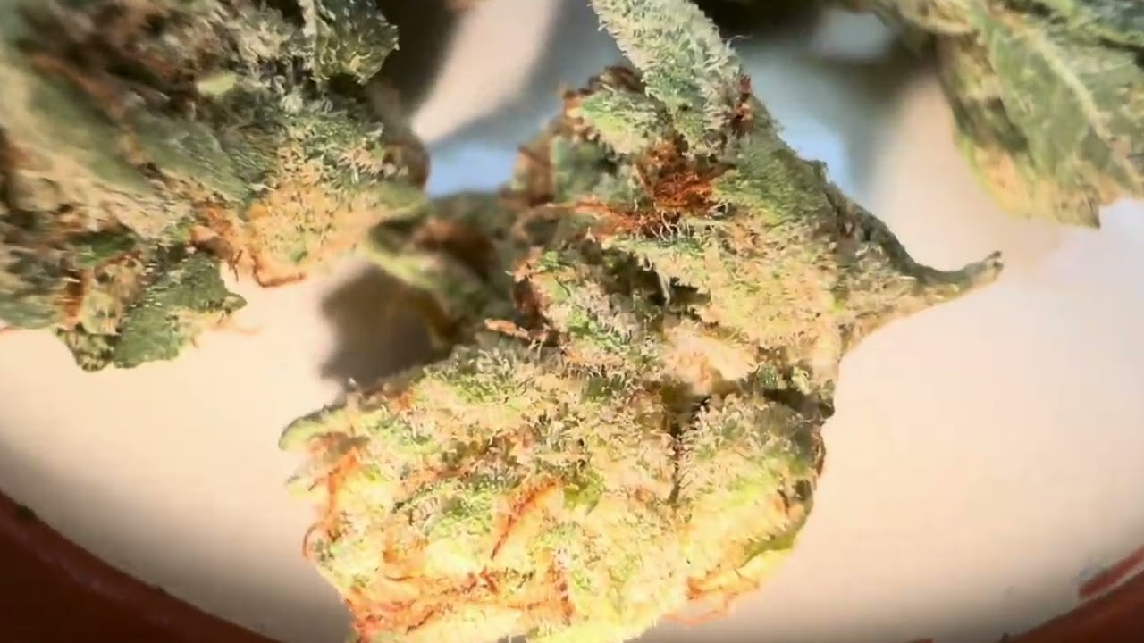 MILO By OG Cookie Monster Review (SMALLS)