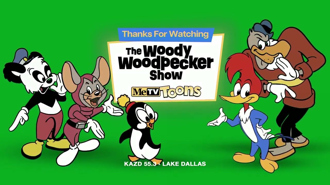 MeTV Toons Commercial Break March 19 2025 PT 2 YouTube 