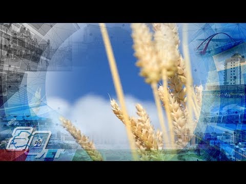 Фильм об истории Новосибирской области «Гордимся прошлым, проектируем будущее»