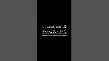 Sheikh Ahmed Al Ameen القارئ أحمد الأمين#quran #القرآن_الكريم