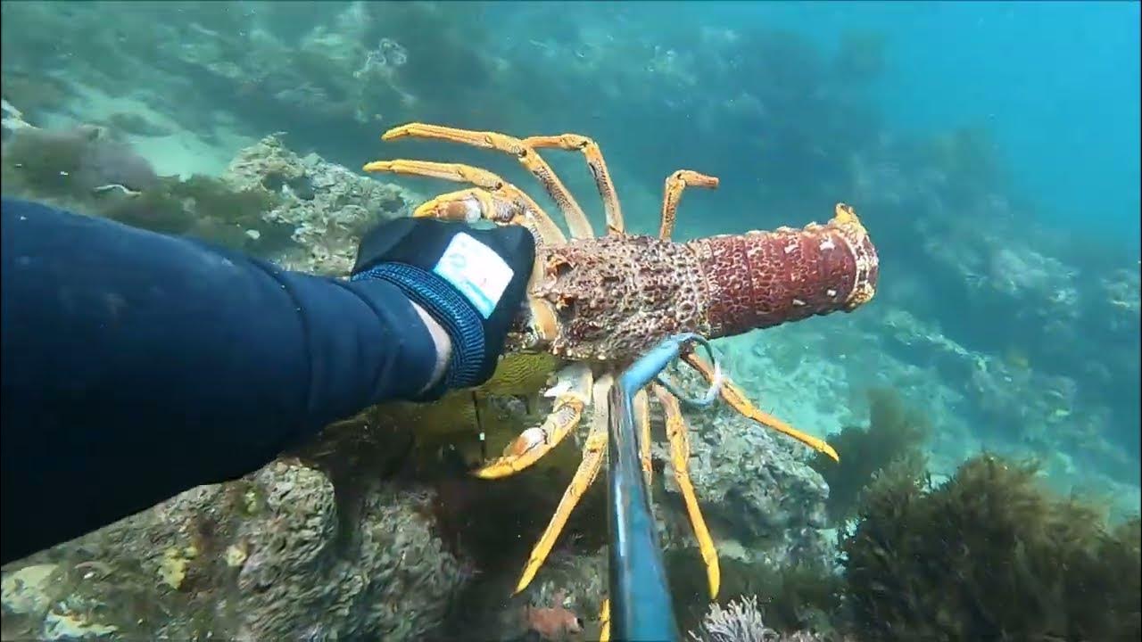 How to catch crayfish YouTube