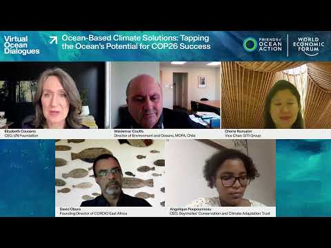 Ocean-Based Climate Solutions: Tapping the Ocean’s Potential for COP26 Success - Ocean-Based Climate Solutions: Tapping the Ocean’s Potential for COP26 Success