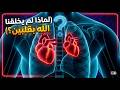 هل تعلم لماذا لم يخلقنا الله بقلبين حكمة الله فى خلق القلب قران كريم