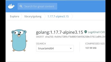 Install Latest GoLang on Docker | Run Go Program / Code on Container Environment