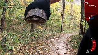 Kickapoo State Rec. Area Mountain Bike Trail 2 MTB