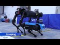 The quadruped robot Jueying Mini