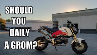 SHOULD YOU DAILY A GROM?