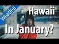 Hawaii Weather in January