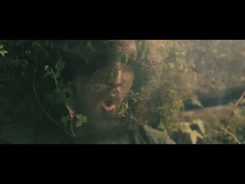 Waves in Autumn - Wildheart ft. Christopher Volpi (Ready Set Fall) (Official Music Video)