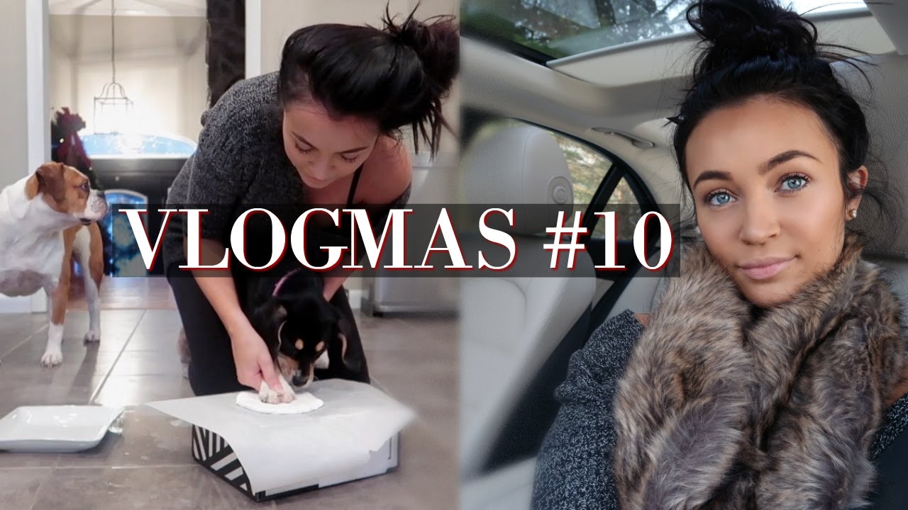 VLOGMAS #10: SOME SHOPPING + PAW PRINT ORNAMENTS! | Stephanie Ledda