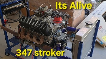 Eleanor mustang 347 stroker engine first start. ITS ALIVE