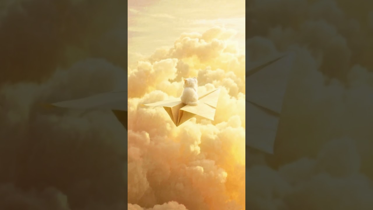 Cloud Rider Cat ☁️