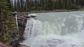 Athabasca River, Alberta, Canada ❤️#nature #travel #alberta #canada #lifeisbutadream 