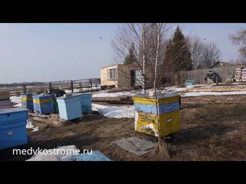 Облет 2017. Костромская область