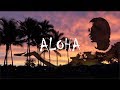 Hawaii  north shore aloha breeze