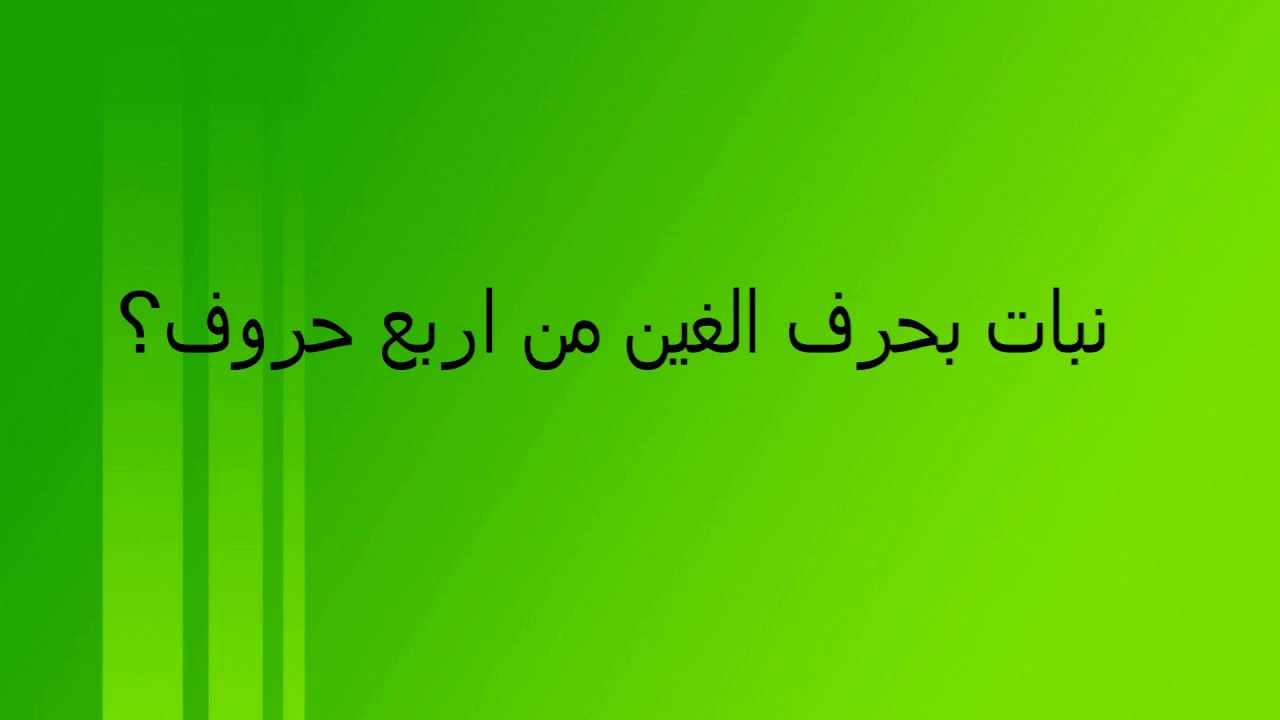 نبتة بحرف الجين من اربعة احرف يوتيوب