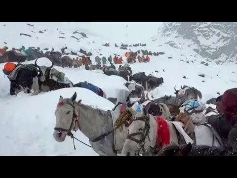 -    ..        
 - نشر قبل 36 دقيقة
