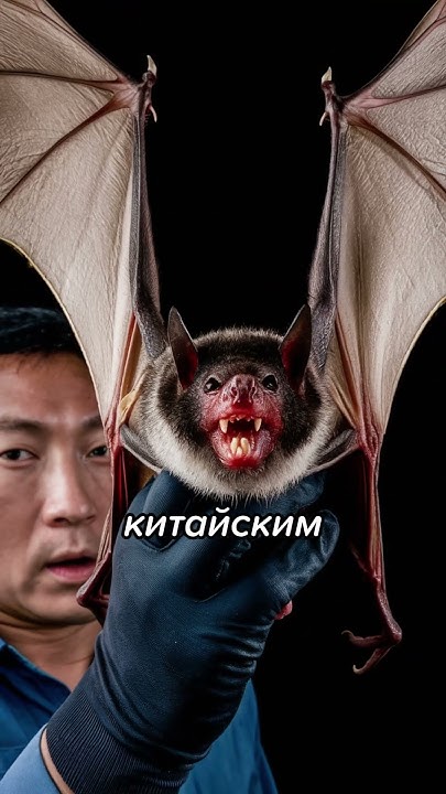 Что Если ВЫ Встретите Инопланетян? #shorts - YouTube