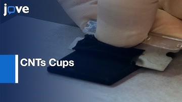 Nitrogen-doped CNTs Cups Fabrication with AuNPs as Cork Stoppers | Protocol Preview