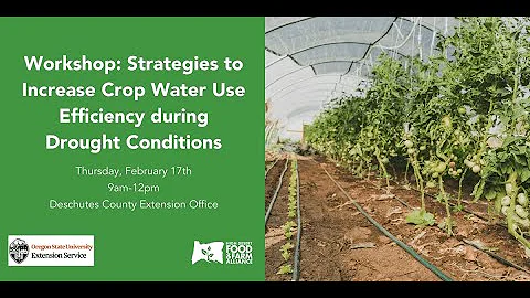 Irrigating in a Drought - Strategies to Increase Efficiency