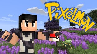 Let's make a card shop in pixelmon! Let's make a card shop in pixelmon! -