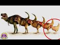 8 Animales Prehistóricos que Evolucionaron y Aun Existen