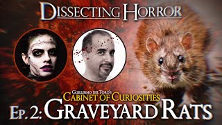Graveyard Rats | Dissecting Guillermo del Toro's Cabinet of Curiosities | Spoiler-free