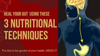 The Ultimate Guide To A Healthy Gut Through Nutrition.