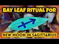 🌿 BURN A BAY LEAF WITH THIS SYMBOL FOR 11/23 NEW MOON IN SAGITTARIUS ♐ MANIFESTING DESIRES 🌿