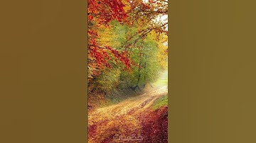 #سورة_نوح فإذا قرى القرآن فاستمعوا له #القرآن_الكريم القارى #ماهر_المعيقلي أكتب شيء تؤجر عليه