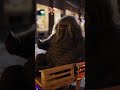 Bigfoot sightings #wildlife #merrychristmas #nature #viralvideo #trending