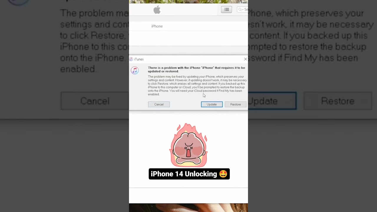 jailbreak and bypassing✓✓ 