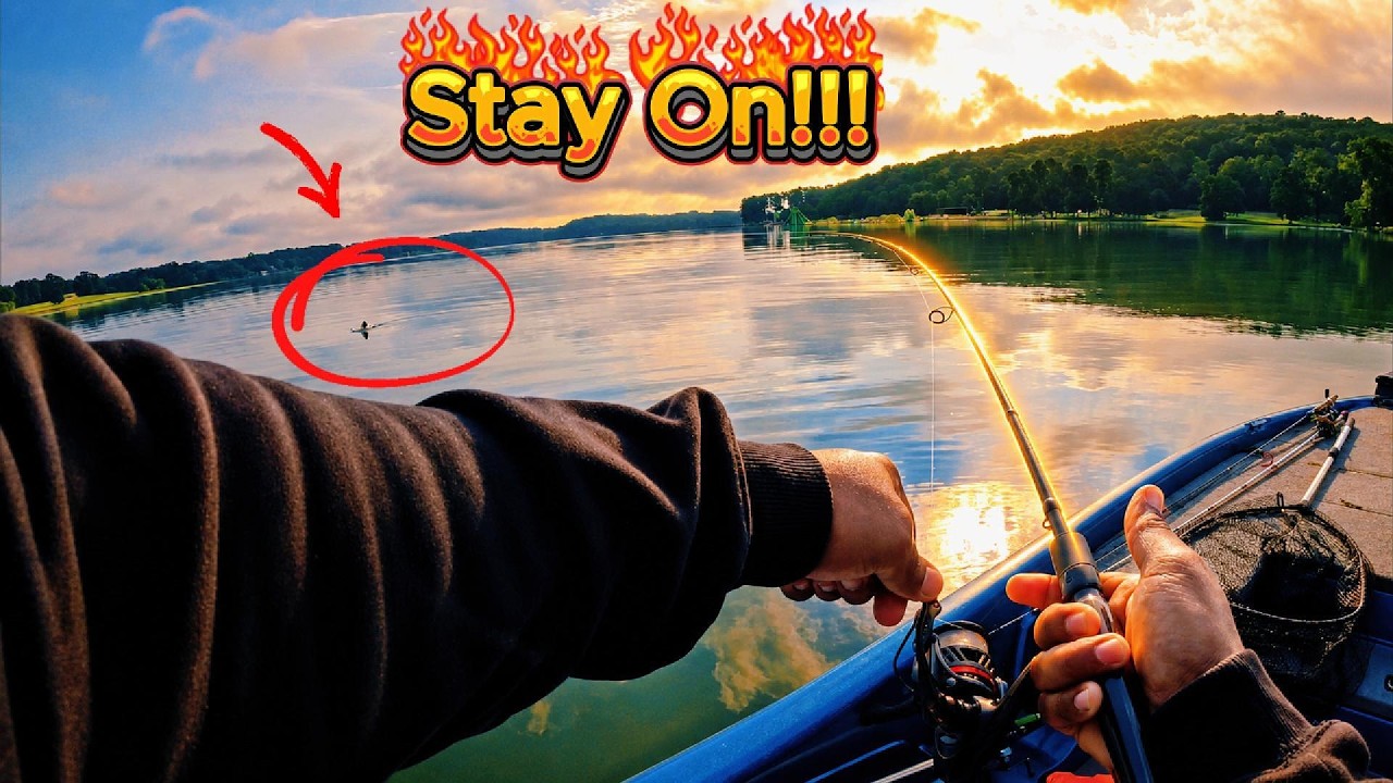 This Technique Made the Bass Bite ONE AFTER ANOTHER! 🎣
