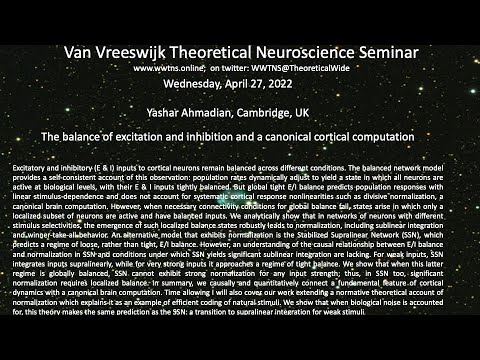 The balance of excitation and inhibition and a canonical cortical computation recording thumbnail