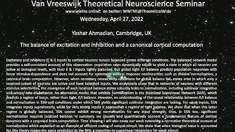 The balance of excitation and inhibition ...., Y. Ahmadian, Cambridge, UK