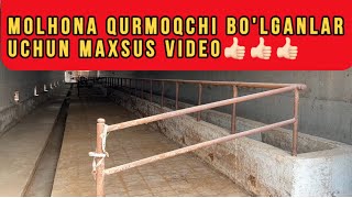 BUQA BOQISH UCHUN QULAY MOLHONA QURISH ARXIV VIDEO 👍🏻👍🏻