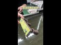 Wood grain water transfer printing process factory live video