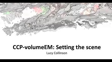 Setting the scene for CCP-volumeEM with Lucy Collinson